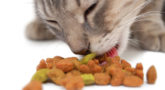 Requirements for Pet Food Custom Product Labels