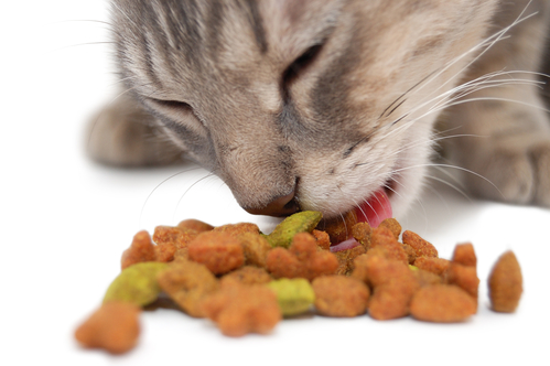 Requirements for Pet Food Custom Product Labels